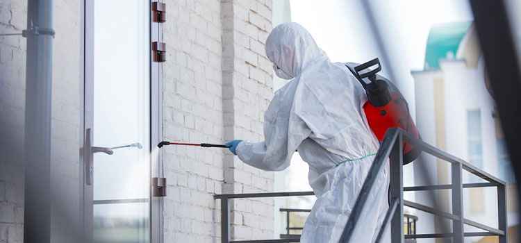 Mold Remediation Company in Milwaukee, WI