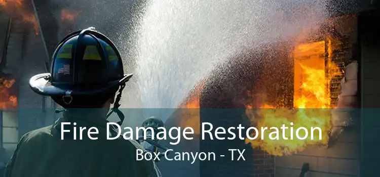 Fire Damage Restoration Box Canyon - TX