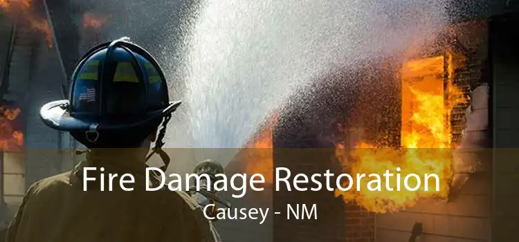 Fire Damage Restoration Causey - NM