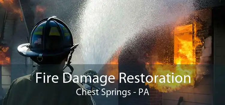Fire Damage Restoration Chest Springs - PA