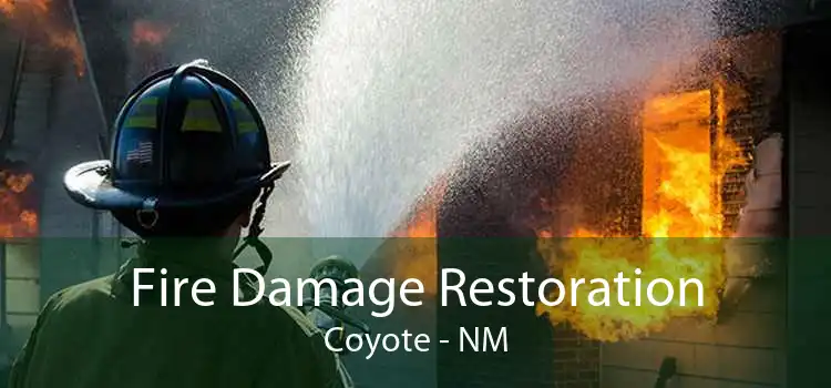 Fire Damage Restoration Coyote - NM