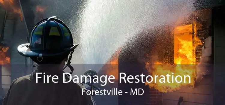 Fire Damage Restoration Forestville - MD