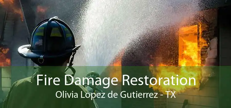 Fire Damage Restoration Olivia Lopez de Gutierrez - TX