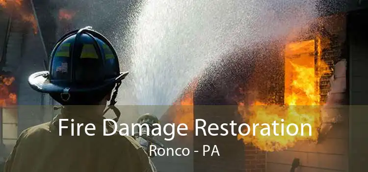 Fire Damage Restoration Ronco - PA