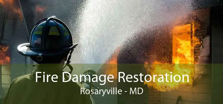 Fire Damage Restoration Rosaryville - MD