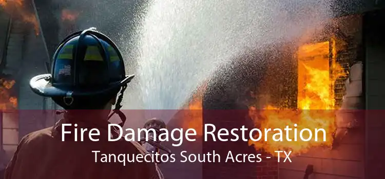 Fire Damage Restoration Tanquecitos South Acres - TX