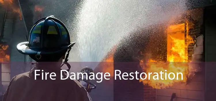 Fire Damage Restoration 