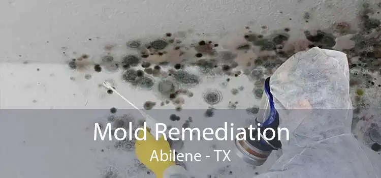 Mold Remediation Abilene - TX