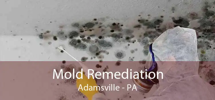 Mold Remediation Adamsville - PA