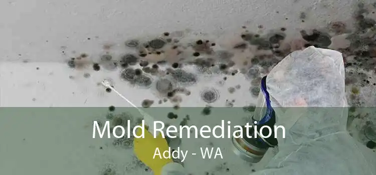 Mold Remediation Addy - WA