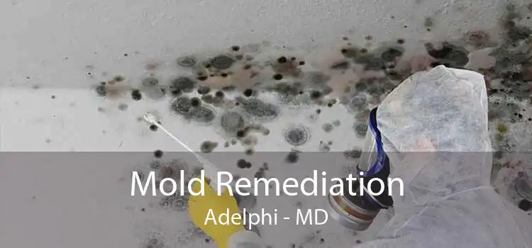 Mold Remediation Adelphi - MD