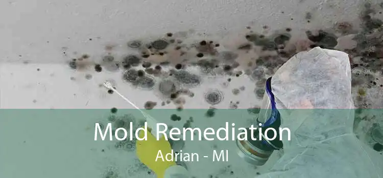 Mold Remediation Adrian - MI