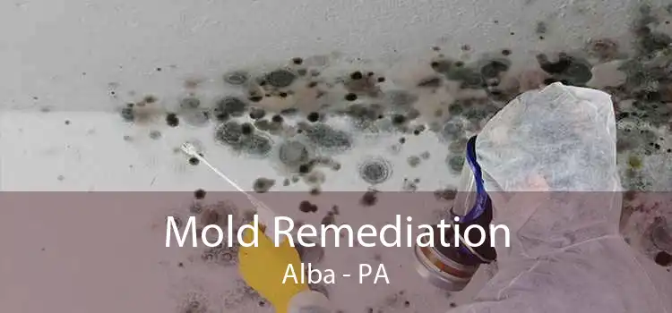Mold Remediation Alba - PA