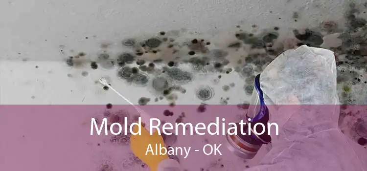 Mold Remediation Albany - OK