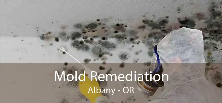 Mold Remediation Albany - OR