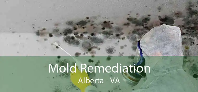 Mold Remediation Alberta - VA