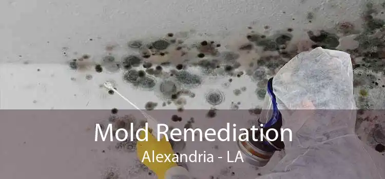 Mold Remediation Alexandria - LA