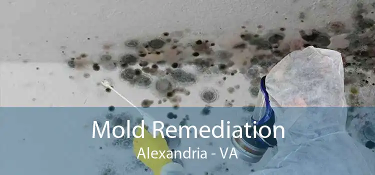 Mold Remediation Alexandria - VA
