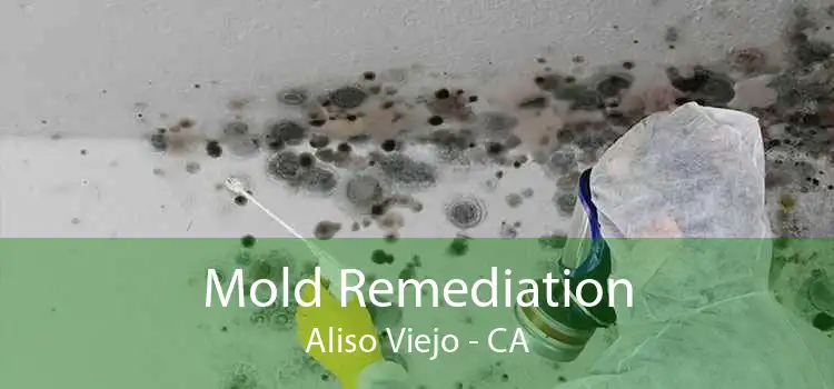 Mold Remediation Aliso Viejo - CA