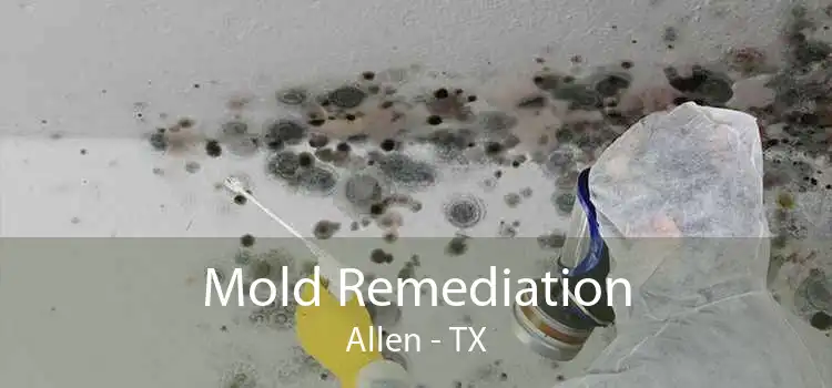 Mold Remediation Allen - TX