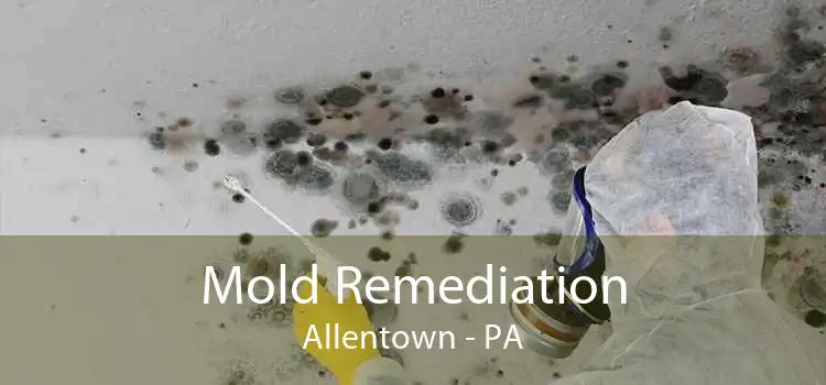 Mold Remediation Allentown - PA