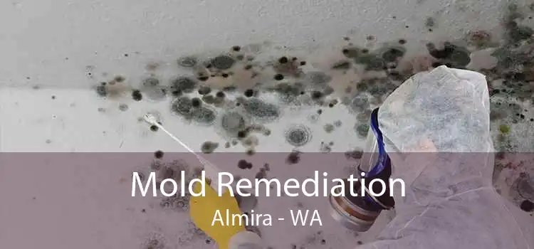 Mold Remediation Almira - WA