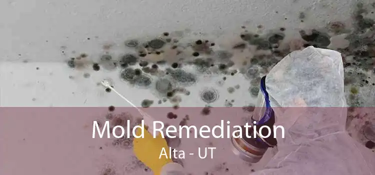 Mold Remediation Alta - UT