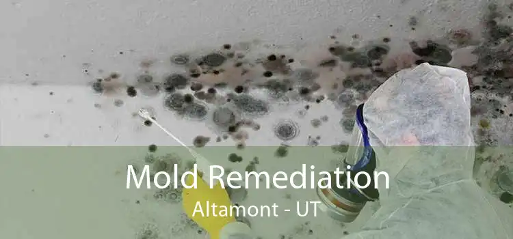 Mold Remediation Altamont - UT