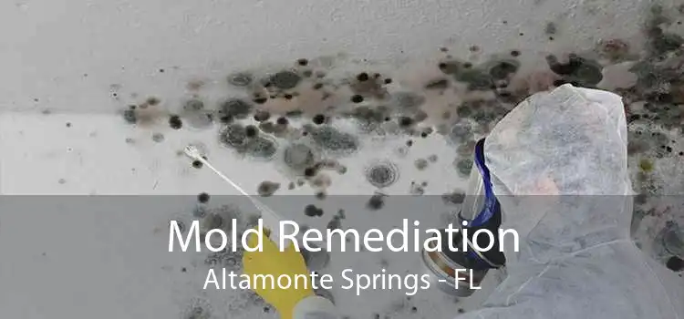 Mold Remediation Altamonte Springs - FL