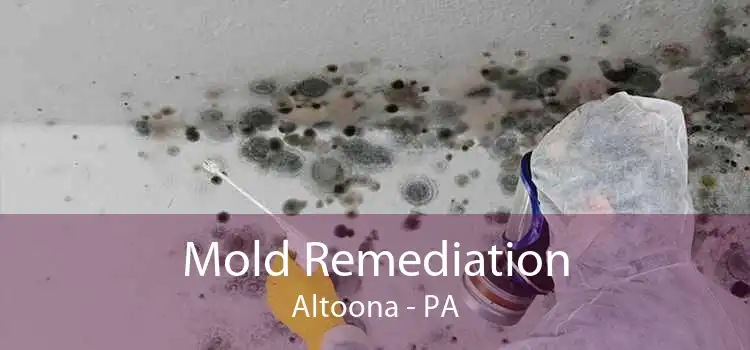 Mold Remediation Altoona - PA