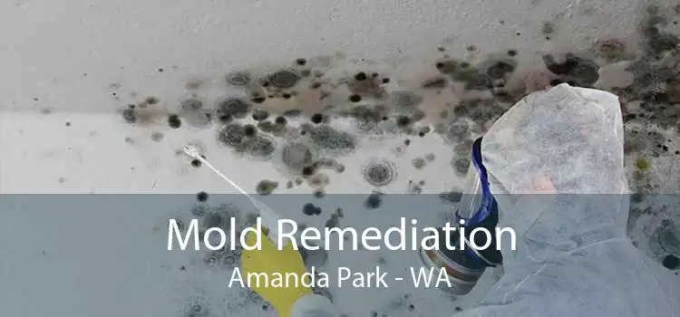 Mold Remediation Amanda Park - WA