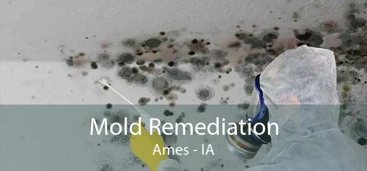 Mold Remediation Ames - IA
