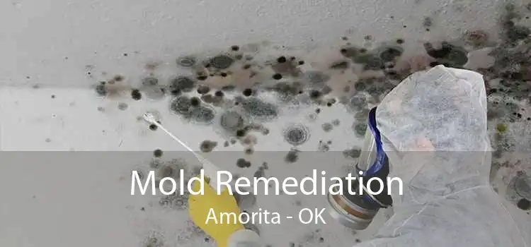 Mold Remediation Amorita - OK