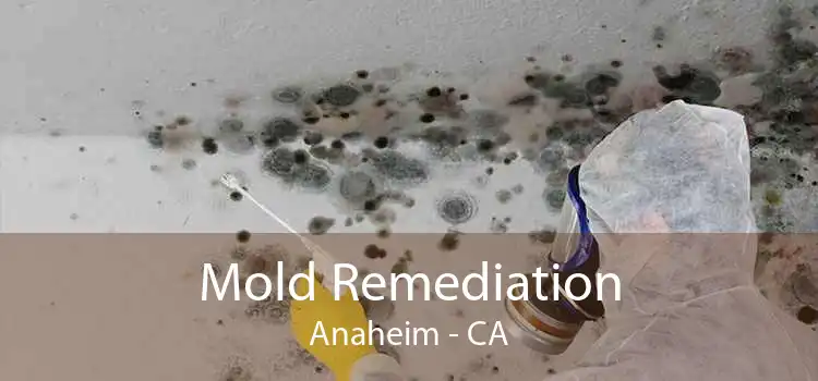 Mold Remediation Anaheim - CA