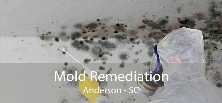 Mold Remediation Anderson - SC