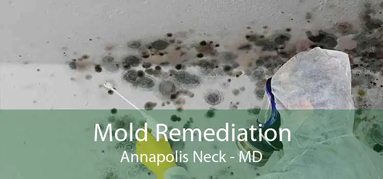 Mold Remediation Annapolis Neck - MD