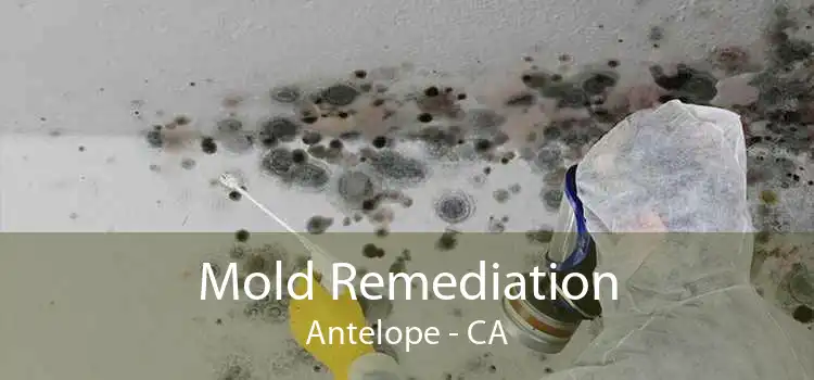 Mold Remediation Antelope - CA