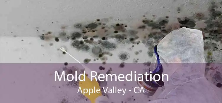 Mold Remediation Apple Valley - CA