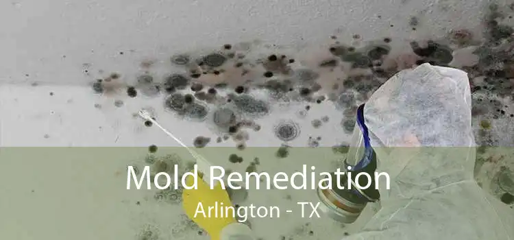 Mold Remediation Arlington - TX