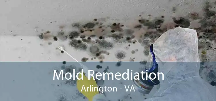 Mold Remediation Arlington - VA