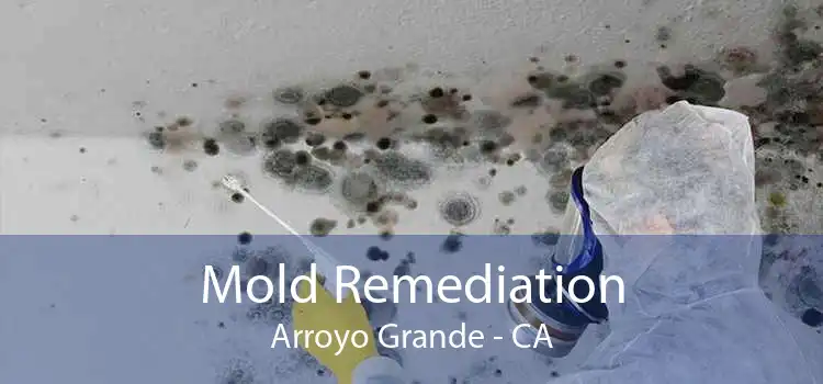 Mold Remediation Arroyo Grande - CA