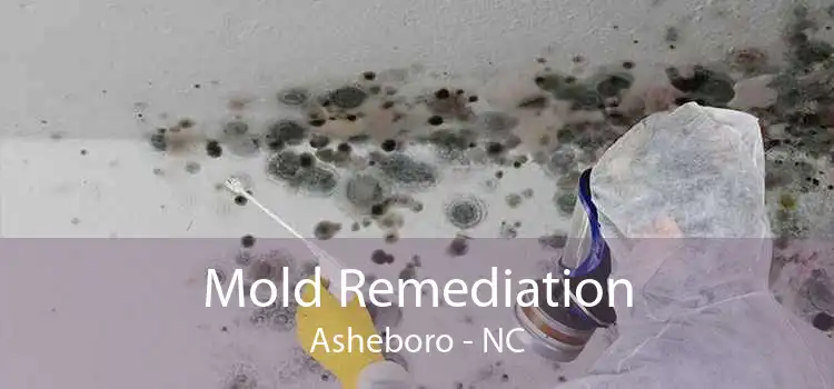 Mold Remediation Asheboro - NC