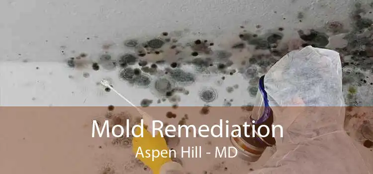 Mold Remediation Aspen Hill - MD