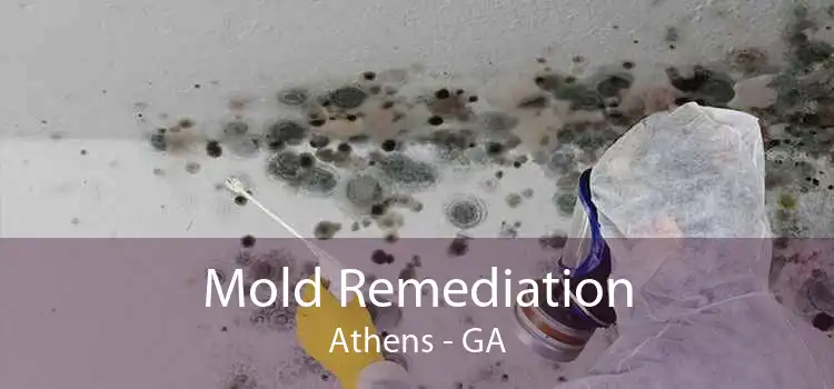 Mold Remediation Athens - GA