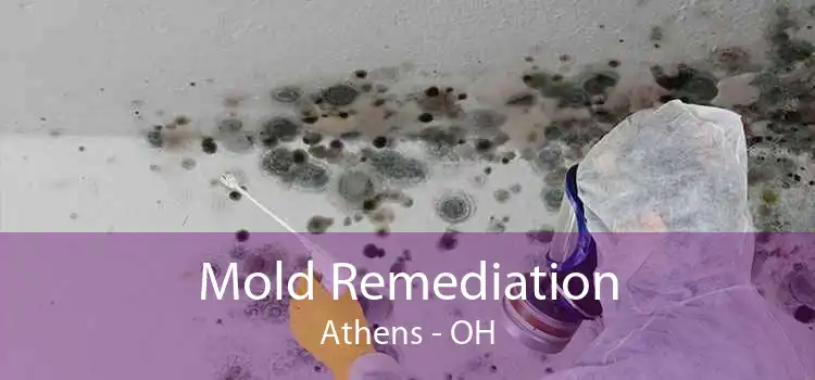 Mold Remediation Athens - OH