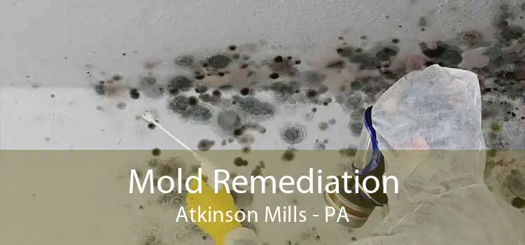 Mold Remediation Atkinson Mills - PA