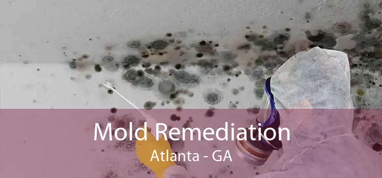 Mold Remediation Atlanta - GA