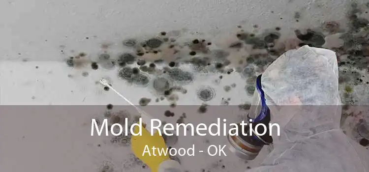 Mold Remediation Atwood - OK