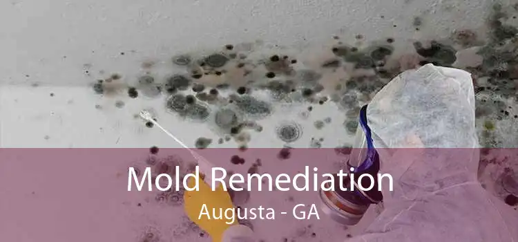 Mold Remediation Augusta - GA