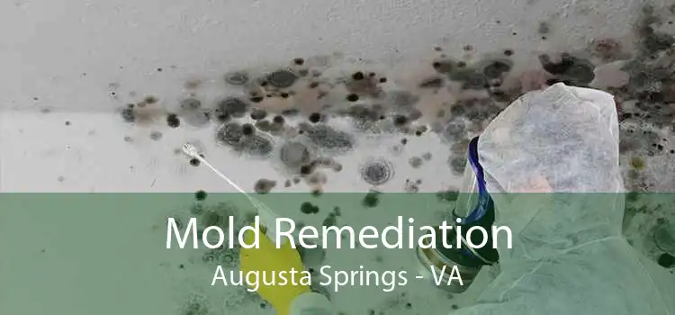 Mold Remediation Augusta Springs - VA